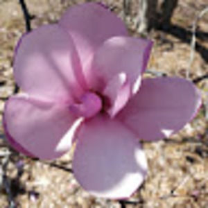 Meet your Posher, Sandy